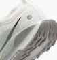 Кросівки чоловічі Nike Pegasus Trail 5 Gtx White FQ0908-102