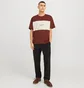 Футболка чоловіча Jack & Jones Jorvester Block Brown 12277742-BRANDYBROWN-ANTI