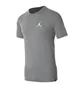 Футболка чоловіча Air Jordan M Jsw Tee Jmpmn Air Embrd Grey AH5296-091