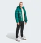 Пуховик чоловічий Adidas Adicolor Down Regen Hooded Puffer Jacket Green IL2566