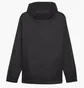 Вітровка чоловіча Puma Teamfinal Allwetterjacke F03 Black 658599-03