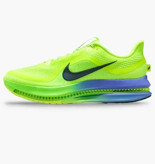 Кросівки чоловічі Nike Pegasus Premium Green HQ2592-702