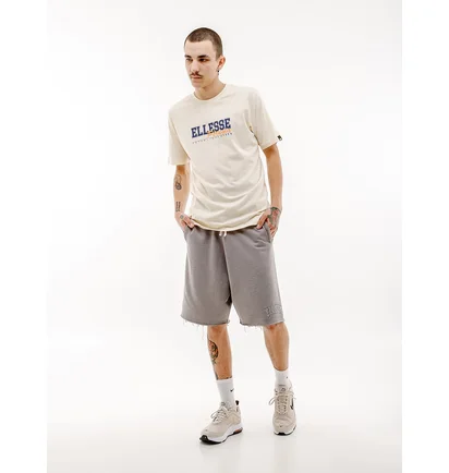 Футболка мужская Ellesse Zagda T-Shirt Beige SHV20122-904