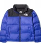 Пуховик чоловічий The North Face 1996 Retro Nuptse Jacket Blue NF0A3C8DCZ6