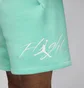Шорты мужские Air Jordan Essentials Fleece Turquoise FN4535-349