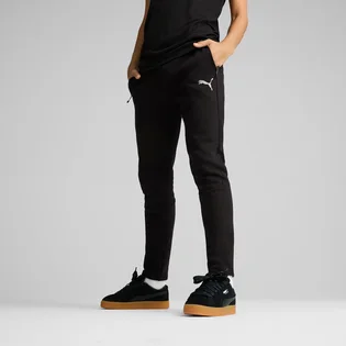 Штани чоловічі Puma Evostripe Black 681702-01