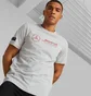 Футболка чоловіча Puma Mercedes-Amg Petronas Motorsport Logo Tee White 538482-02