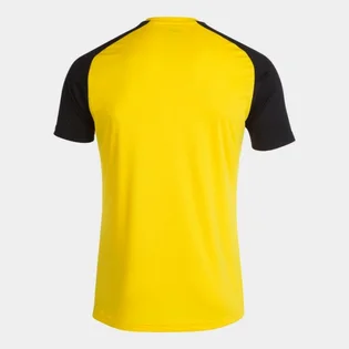 Футболка чоловіча Joma Academy Iv Yellow/Black 101968.901