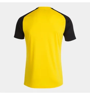 Футболка чоловіча Joma Academy Iv Yellow/Black 101968.901