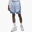 Шорты мужские Air Jordan Dri-Fit Sport Light Blue DZ0573-425