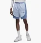 Шорты мужские Air Jordan Dri-Fit Sport Light Blue DZ0573-425