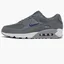 Кроссовки мужские Nike Air Max 90 Jewel Swoosh Casual Shoes Grey FN8005-001