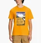 Футболка чоловіча The North Face Short Sleeve Places We Love Camp Geodesic T-Shirt Yellow NF0A811S56P