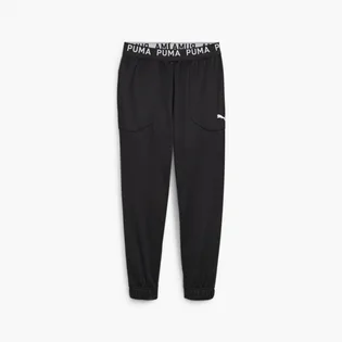 Штани чоловічі Puma Pwrfleece Black 520894-51