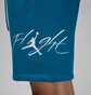 Шорты мужские Nike Air Essentials Fleece Blue FN4535-457