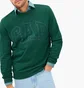 Світшот чоловічий Gap Logo Sweatshirt Green 457230011