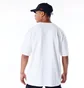 Футболка чоловіча NEW ERA Graphic Bulls White 60565031