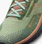 Кроссовки женские Nike Pegasus Trail 4 Gore-Tex Green Dj7929-300