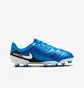 Бутси дитячі Nike Jr Legend 10 Academy Fg/Mg Blue DV4348-400