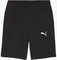 Шорты мужские Puma Teamgoal Casuals Shorts Black 658608-03