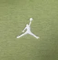 Худи мужское Air Jordan Essentials Fleece Pullover Green FJ7774-340