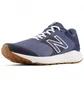 Кросівки чоловічі New Balance W520V7 Blue M520RN7