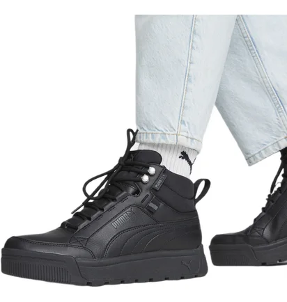 Кроссовки мужские Puma Tarrenz Sb Iii Puretex Black 393930-01