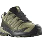 Кроссовки мужские Salomon Xa Pro 3D V9 Gtx Olive L47270400