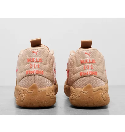 Кроссовки мужские Puma Mb.03 Brown 309716-01