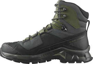 Кроссовки мужские Salomon Quest Element Gtx Black 414571