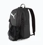 Рюкзак чоловічий Puma Teamgoal Black 077268-03