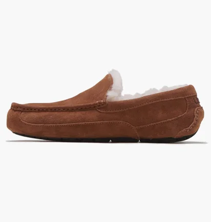 Тапочки чоловічі Ugg Ascot Brown 1101110-Che