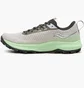 Кроссовки мужские Saucony Peregrine 13 Gtx Grey S20841-30