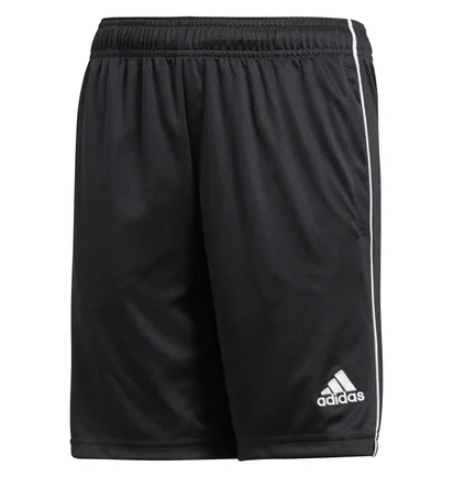 Шорты детские Adidas Core18 Tr Sho Y Black CE9030