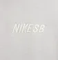 Худи унисекс Nike Sb Fleece Pullover Skate Hoodie Grey FN2502-003