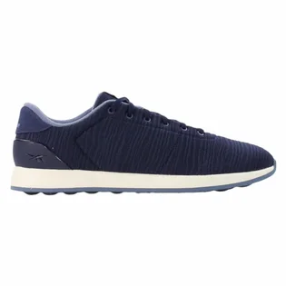 Кроссовки мужские Reebok Ever Road Dm Blue FZ5537