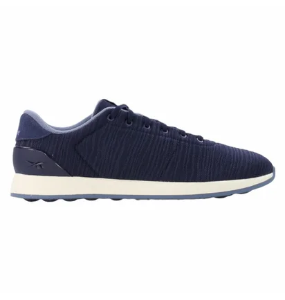 Кроссовки мужские Reebok Ever Road Dm Blue FZ5537