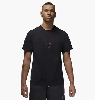 Футболка мужская Air Jordan Mens Graphic T-Shirt Black Dm1440-010