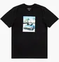 Футболка мужская Nike Photo Black HJ2401-010