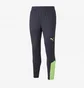 Штаны мужские Puma Individualfinal Training Pant Blue 65804447