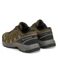 Кроссовки мужские Salomon X-Adventure Recon Gtx Olive L47813200