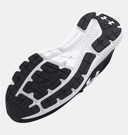Кроссовки мужские Under Armour Charged Rogue 4 Black 3026998-001