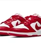 Кроссовки мужские Nike Dunk Low Retro Sp White/Red CU1727-100