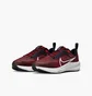 Кросівки дитячі Nike Air Zoom Pegasus 40 Gs Bordo DX2498-009