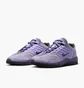 Кроссовки мужские Nike Sb Vertebrae Violet FD4691-501