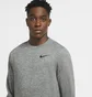Свитшот мужской Nike Therma Grey CU7271-063