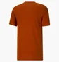 Футболка мужская Puma Outside The Box Logo Tee Orange 674615-64