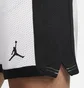 Шорты мужские Air Jordan Dri-Fit White/Black DH9077-100