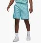 Шорты мужские Air Jordan Essentials Allover Print Poolside Turquoise DX9673-464