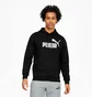 Худи мужское Puma Essentials Big Logo Mens Hoodie Black 846812-01